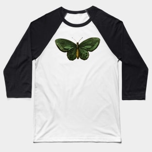 Green Illustrated Moth - Vintage Illustration Baseball T-Shirt